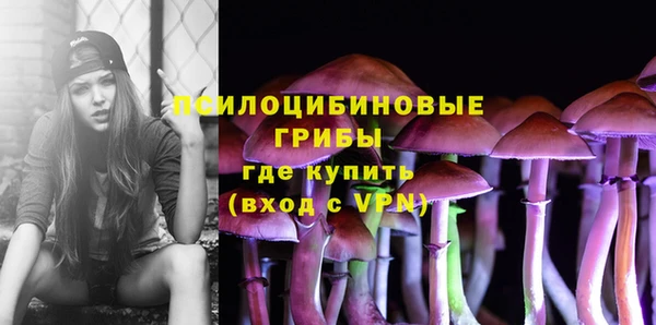 шишки Арсеньев