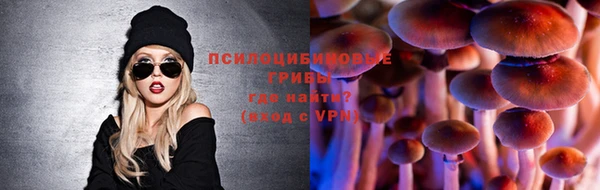 трава Армянск