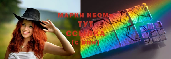 шишки Арсеньев