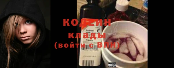 шишки Арсеньев