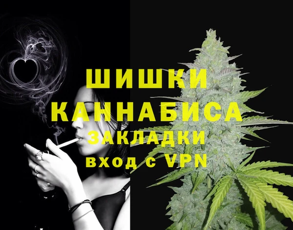 шишки Арсеньев