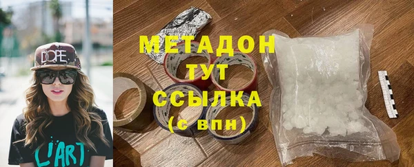шишки Арсеньев