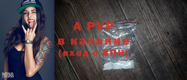 шишки Арсеньев