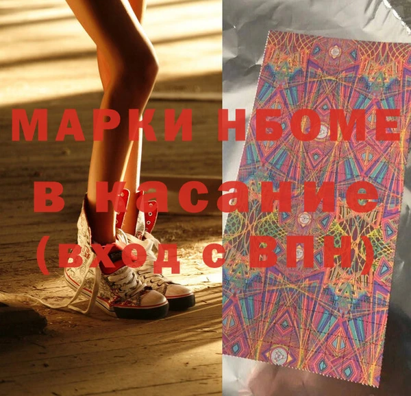 шишки Арсеньев