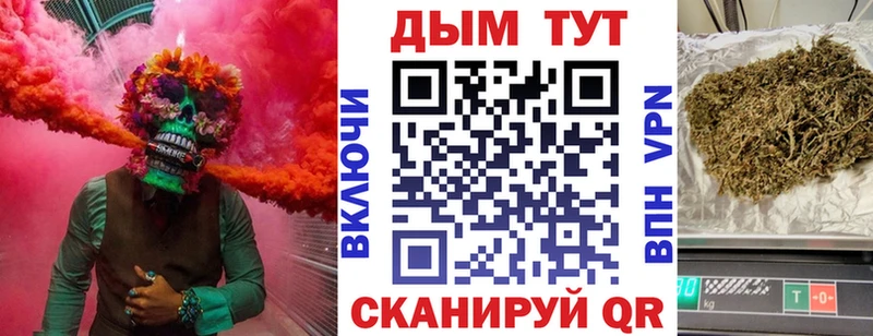 Конопля семена  где купить наркоту  Дыгулыбгей 